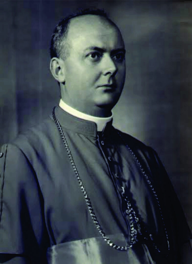 Dom Carlos Schmitt, OFM