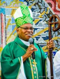 dom henrique portal diocese de dourados
